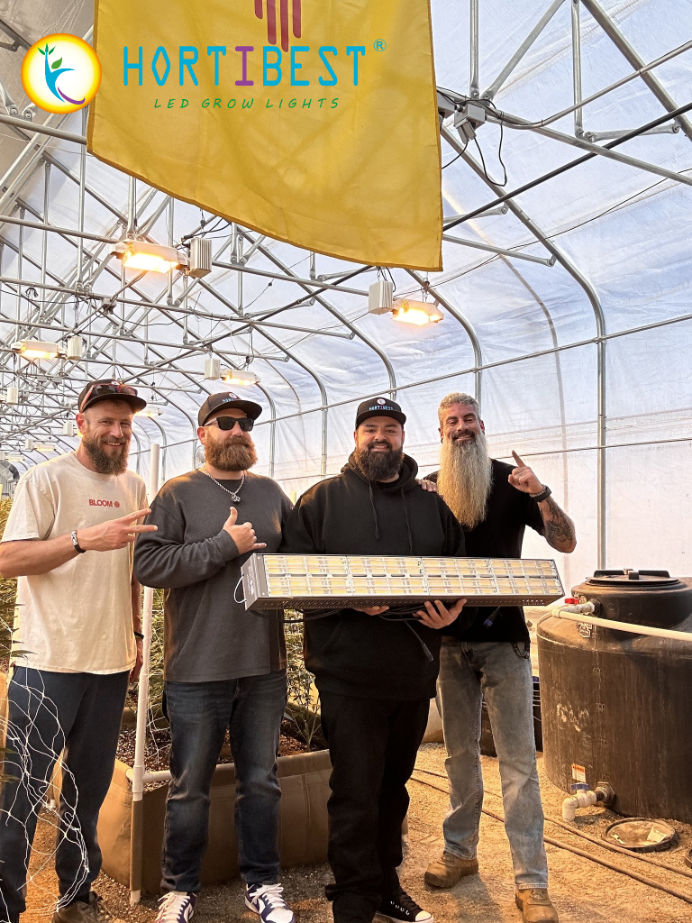 Case Study: Why an HPS Grower Switched to Shark‑2600 – Not for Savings, but for Even Light from Top to Bottom