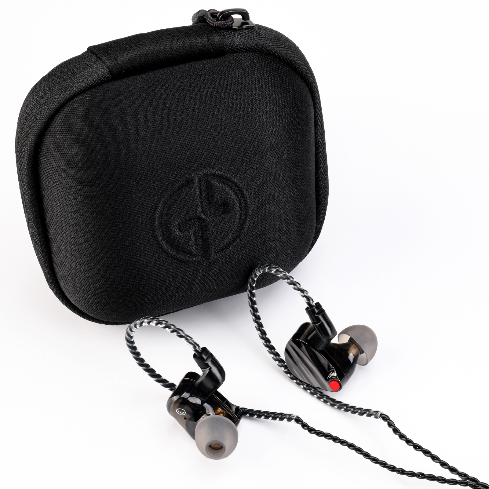TINHIFI HUO Hybrid In Ear Monitor Earphones, 10mm Dual-Magnet Dynamic Driver + Balanced Armature, Metal Faceplate, Detachable QDC 2-Pin Cable, with Carrying Case