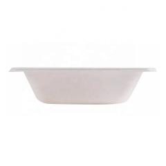 Square Biodegradable Disposable Sugarcane Bagasse Bowl