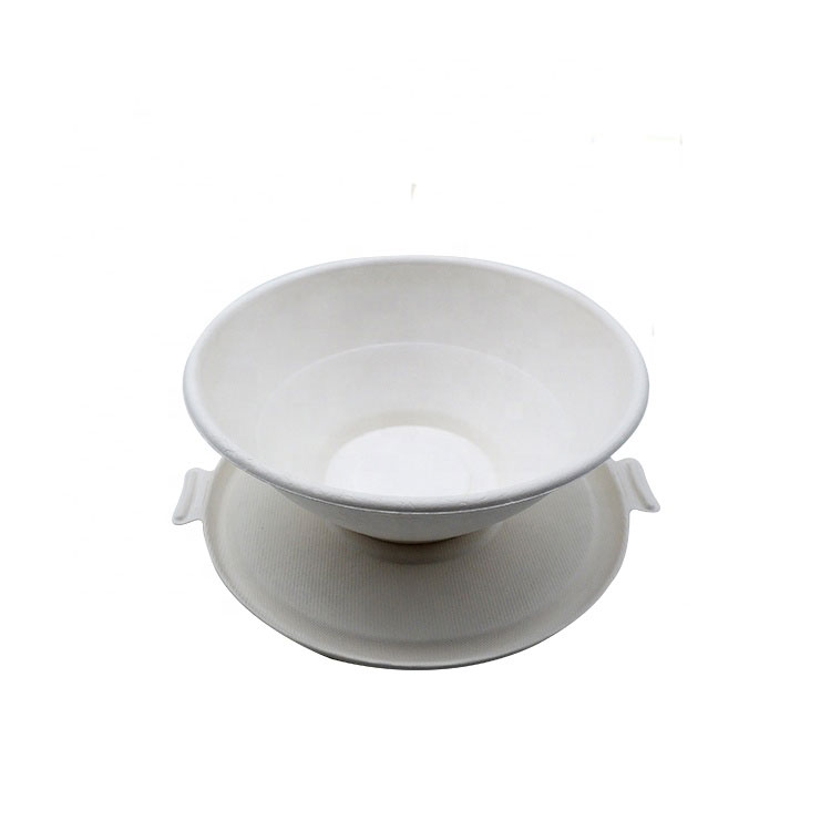 Disposable Eco Friendly Sugarcane Bagasse Pulp Box Bowl With Lid