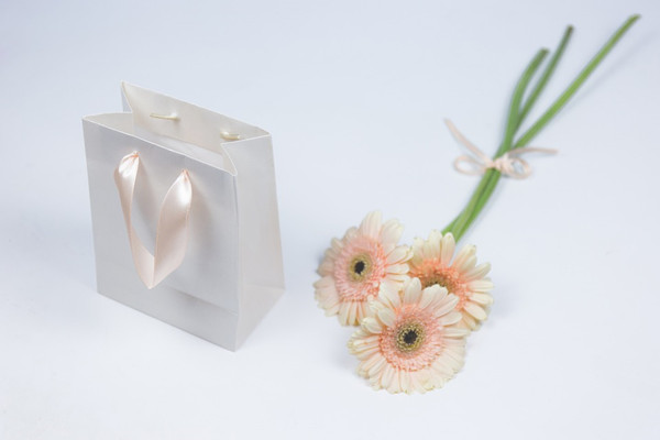 5x7 Gift paper bags can make your gift special