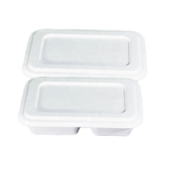 Biodegradable Sugarcane Bagasse 4 Compartment Eco Friendly Tray