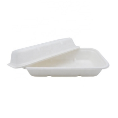 Vaisselle Jetable Bagasse Plateau Canne à Sucre