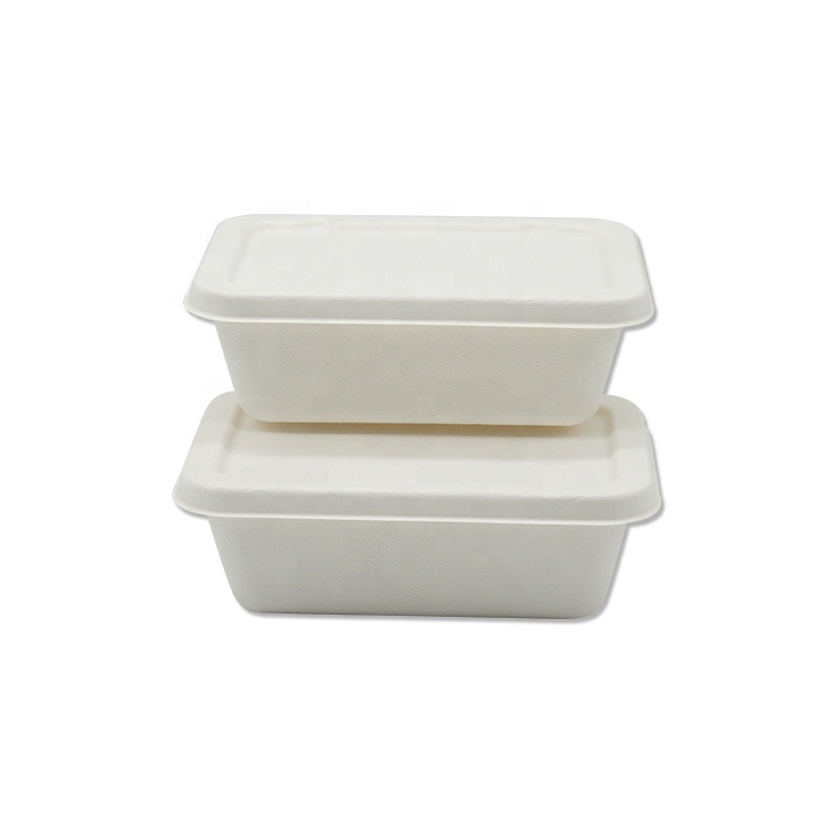 Compostable 650ml Bagasse Eco Friendly Disposable Food Container
