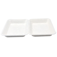 Compostable Sugarcane Disposable Tray Biodegradable With Lid