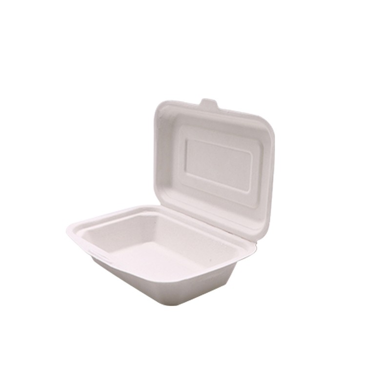 450ML Disposable Sugarcane Food Container