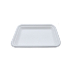 195*145*25MM Rectangle Sugarcane Tray