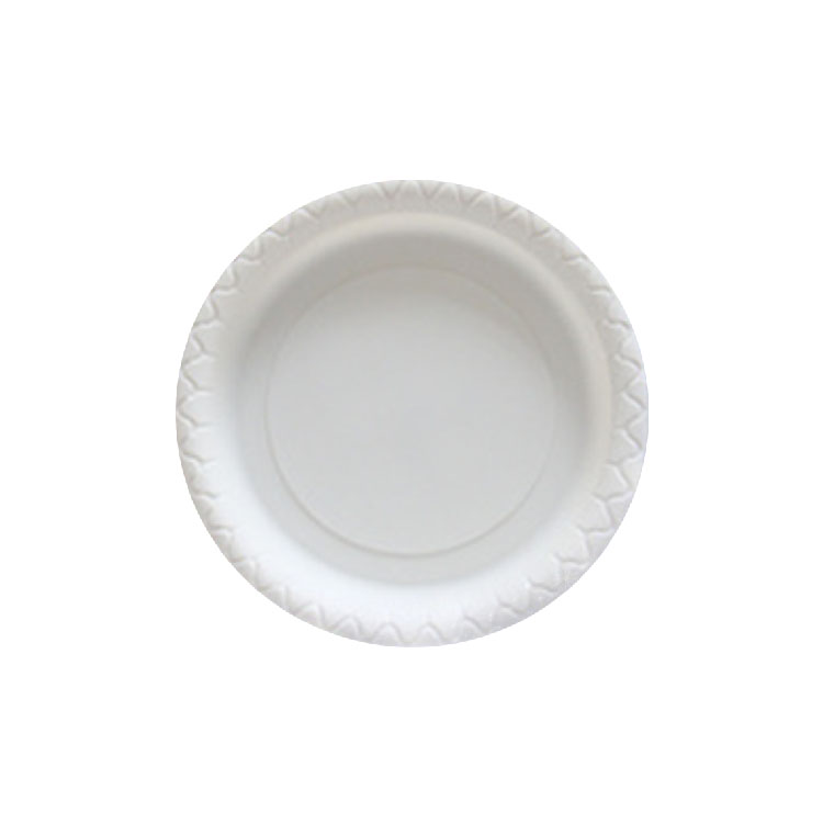 ၉ Cornstarch Plate