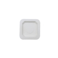 Square Finger Food Sugarcane Plate