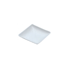 Square Shape Finger Food Sugarcane Plate