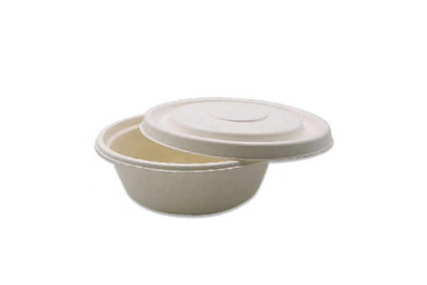 disposable dishes
