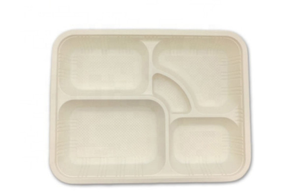 disposable tray