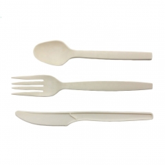 Eco Disposable Compostable PLA 100% Biodegradable Spoon For Dessert