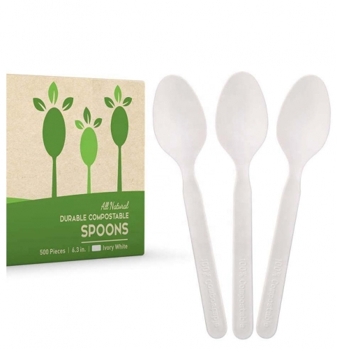 5 Inch Fully Compostable Biodegradable Disposable PLA Spoon For Food