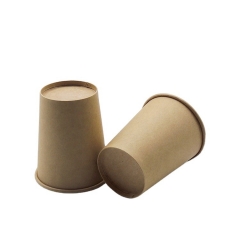 Premium Disposable Kraft Paper Cup For Europe Market