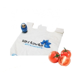 Custom Size General Packing PLA Biodegradable Plastic Bag