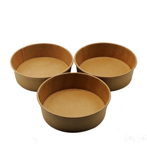 Salad Bowl Manufacturer Biodegradable Salad Paper Bowl with PLA lid