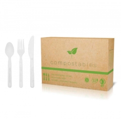 Colher PLA descartável biodegradável de 5 polegadas totalmente compostável para alimentos