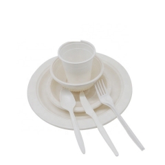 6 Inch disposable 100% compostable biodegradable disposable plastic cutlery