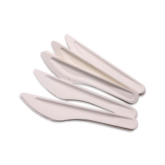 New style Sugarcane Bagasse cutlery set Disposable Cutlery for whole sales