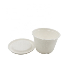 biodegradable 4 oz sugarcane bagasse paper cups for sauce with lid