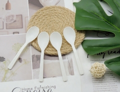 Biodegradable ice cream plastic spoon custom spoon for ice cream