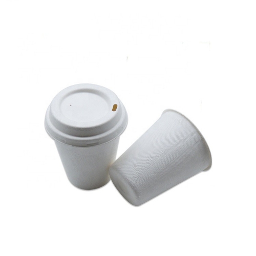 Copos de café descartáveis ​​de bagaço de 8 oz compostáveis ​​reutilizáveis ​​de preço no atacado