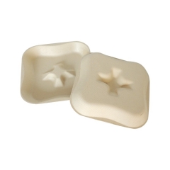 Biologisch abbaubares Obsttablett aus Zuckerrohr-Bagasse