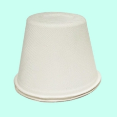 Biodegradable Sugarcane pulp Cup with lid