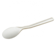 Wholesale Price Disposable Recyclable Ice Cream Chinese Spoons