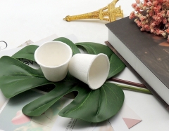 Biodegradable Sugarcane Pulp Disposable 3oz Cup Wholesale bagasse cup