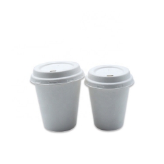 Tazas de café biodegradables de pulpa de caa de azúcar disponibles para comida para llevar