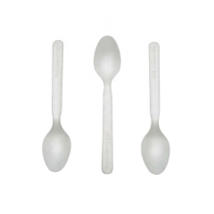 China Factory Disposable Compostable PLA Ice Cream Spoon
