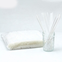 Competitive Price Heat Resist PLA Compostable Straw for Stirrer