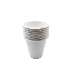 Bulk Buy From China Biodegradable Bagasse Compostable Sugarcane Cup