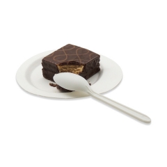 Cuchara disponible plástica de encargo biodegradable de la cuchara de helado del precio al por mayor