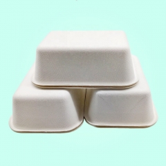 Disposable Biodegradable Food Sugarcane Packing Tray Eco-friendly