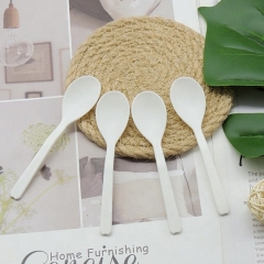 Biodegradable wholesale price ice cream plastic spoon custom spoon for ice cream