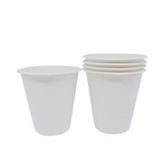 Decomposable Cup for the America market biodegradable sugarcane water cup