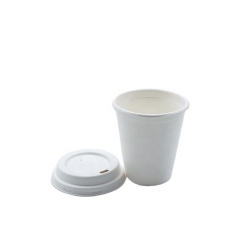 Sugarcane pulp biodegradable coffee cups disposable for takeaway