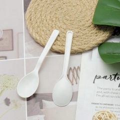 Biodegradable ice cream plastic spoon custom spoon for ice cream