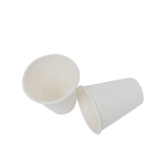 Tazza di canna da zucchero compostabile biodegradabile biodegradabile monouso da 500 ml