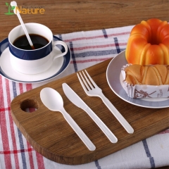 Chinese Supplier Biodegradable Customized CPLA Cutlery Set