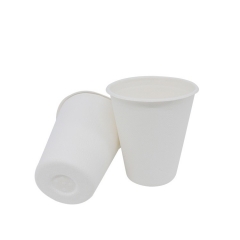 Hot selling takeaway 9 oz biodegradable sugarcane bagasse juice cup