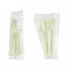 6 / 6.5 / 7 inch Customized Biodegradable Disposable Cutlery CPLA Cutlery Set