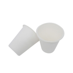 Tasse imprimée personnalisée 200 ml Tasses à café en canne à sucre biodégradables