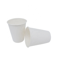 Disposable Water Compostable Cups Hot Drink Biodegradable Cups Sugarcane