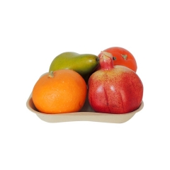 ถาดใส่ผลไม้เยื่ออ้อยที่ย่อยสลายได้ง่ายทันสมัยสำหรับตลาดยุโรป