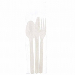 Eco Disposable Compostable PLA 100% Biodegradable Spoon For Dessert