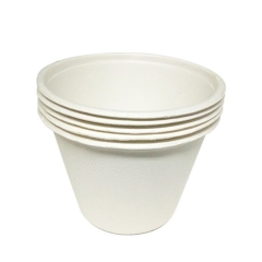 Vaso de pulpa de caa de azúcar biodegradable con tapa